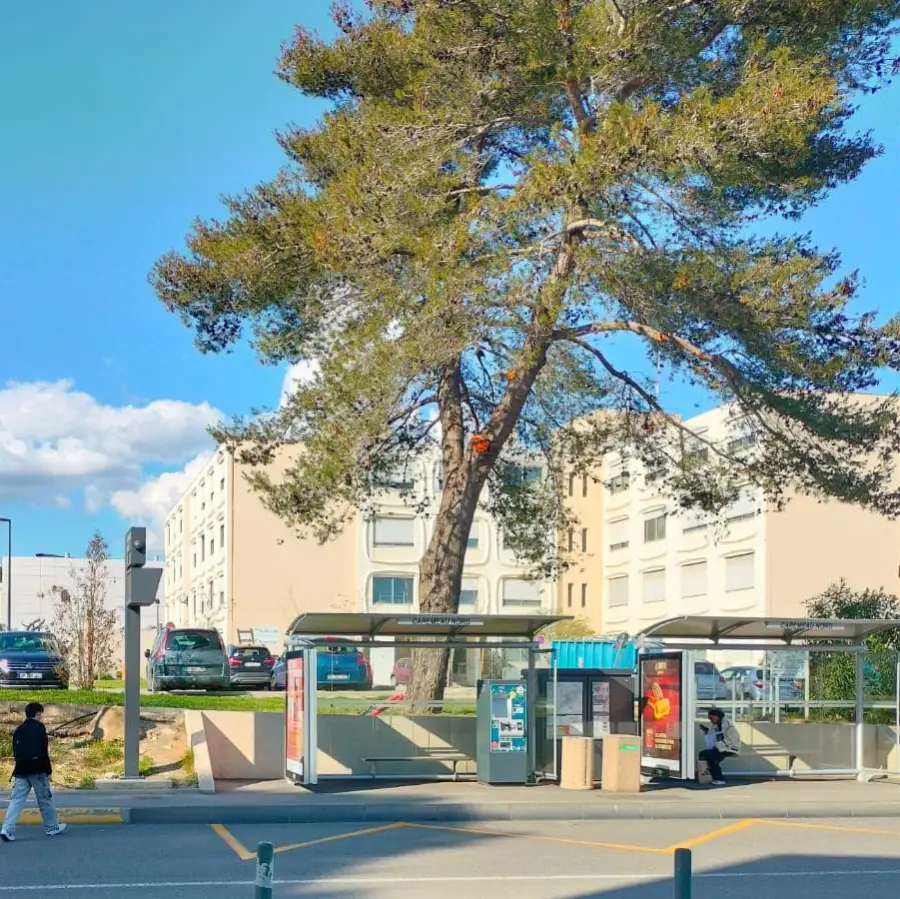 CHU Nîmes station de Bus