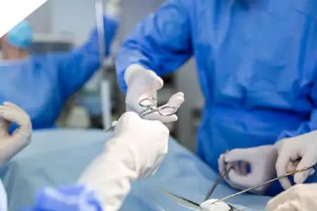 Maison des femmes du Gard - Parcours Mutilations Génitales